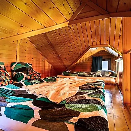 Bellevue Wellness 3*